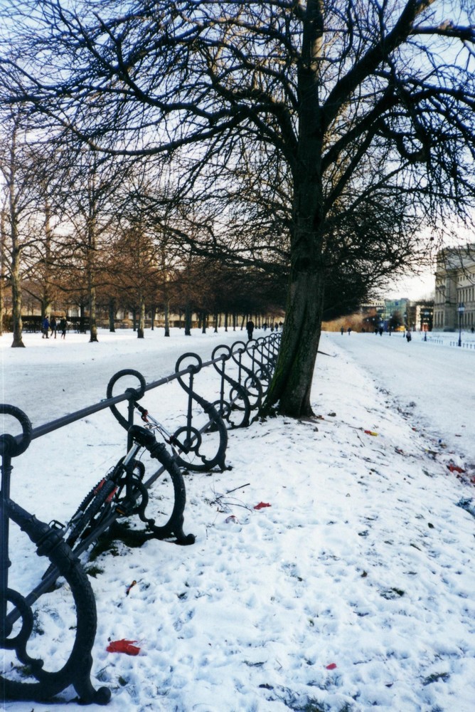 Notenschlüssel (Hofgarten)