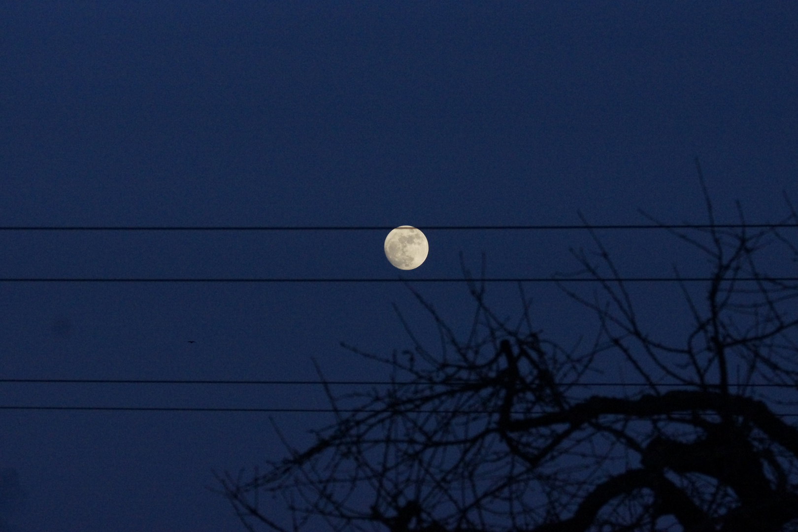 Notenschlüssel Mond