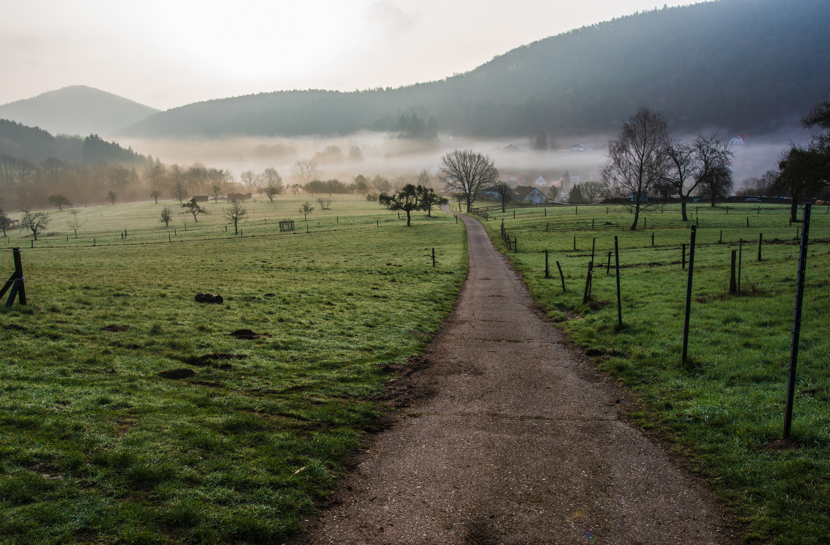 Nothweiler im Frühnebel