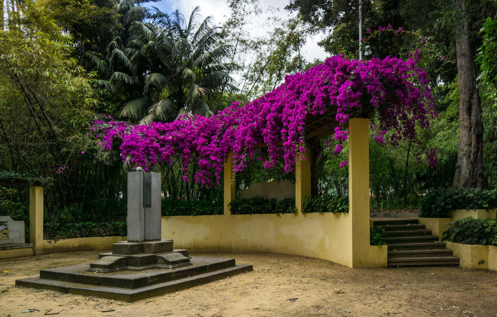 Notizen aus Santa Cruz de Tenerife - II -