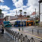 Notizen aus Santa Cruz de Tenerife - III -