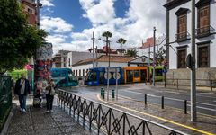 Notizen aus Santa Cruz de Tenerife - III -