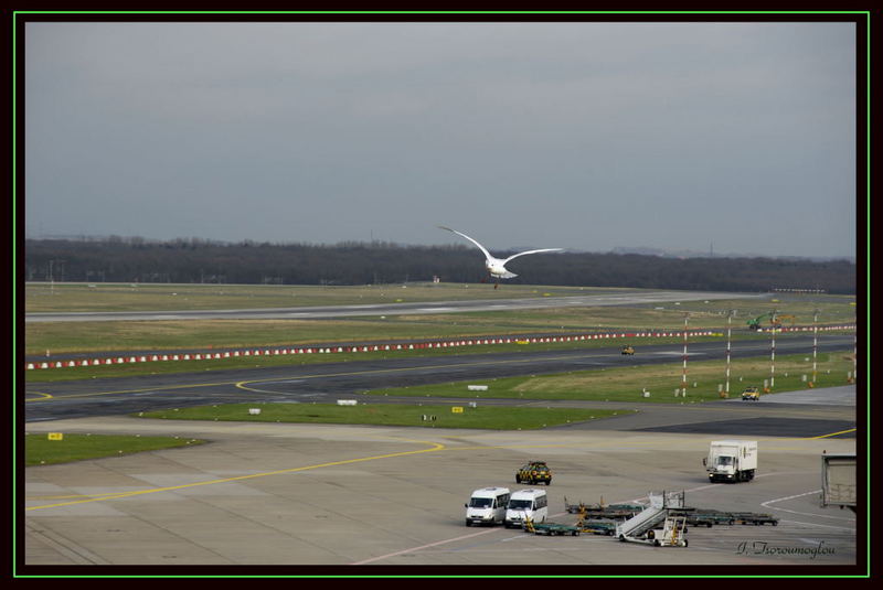 Notlandung am Flughafen Düsseldorf :-)