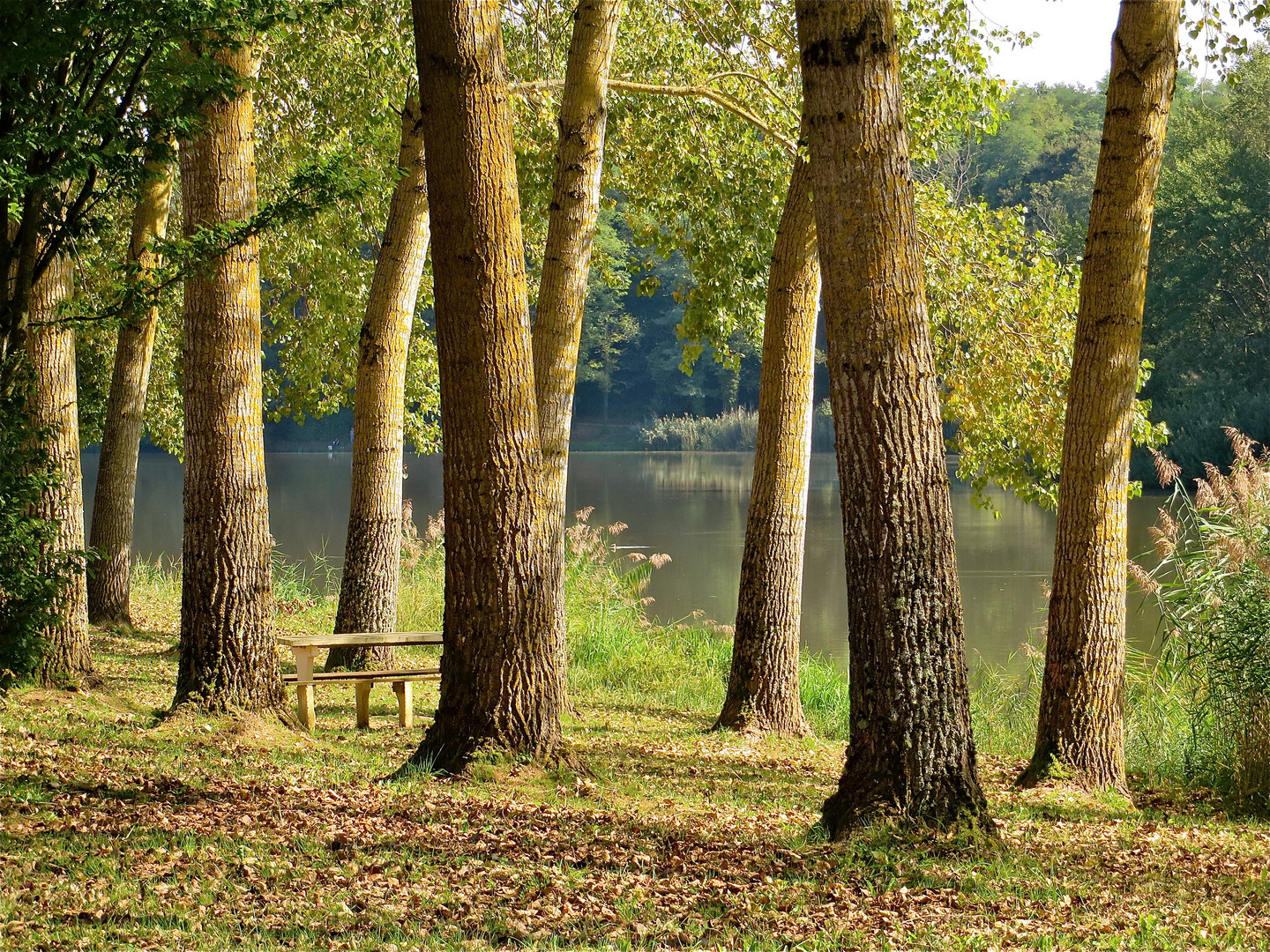 ..notre banc ...!!!..