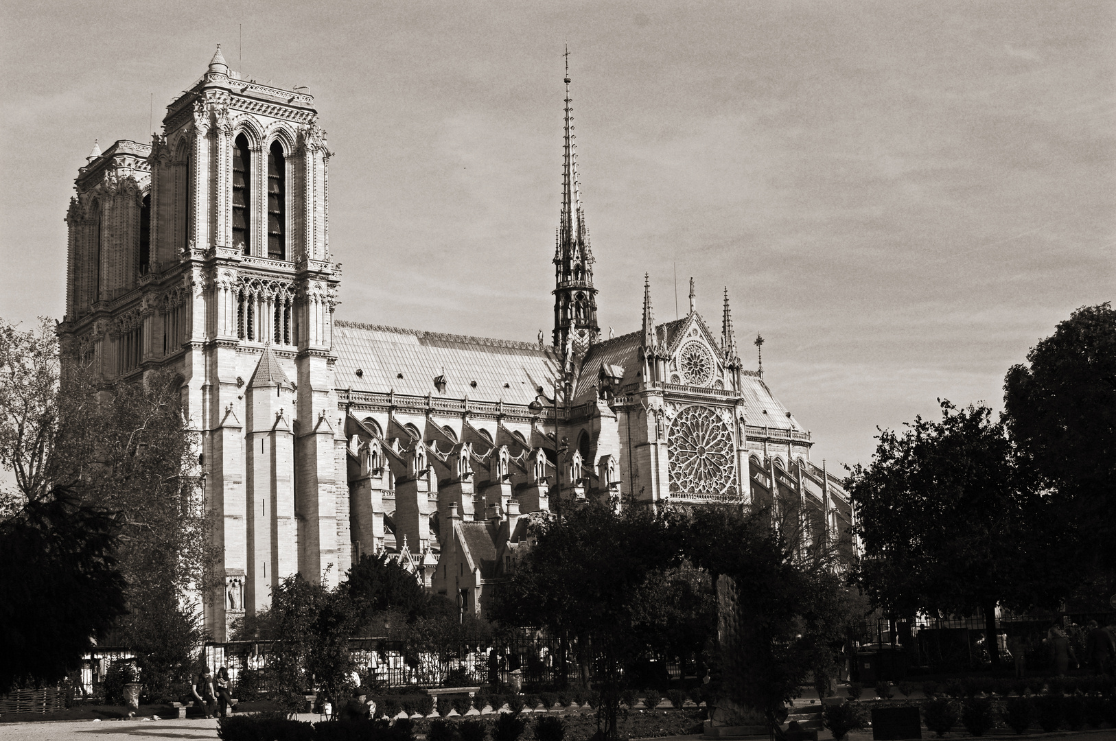 Notre-Dame