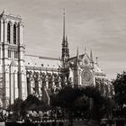 Notre-Dame