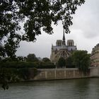 Notre Dame