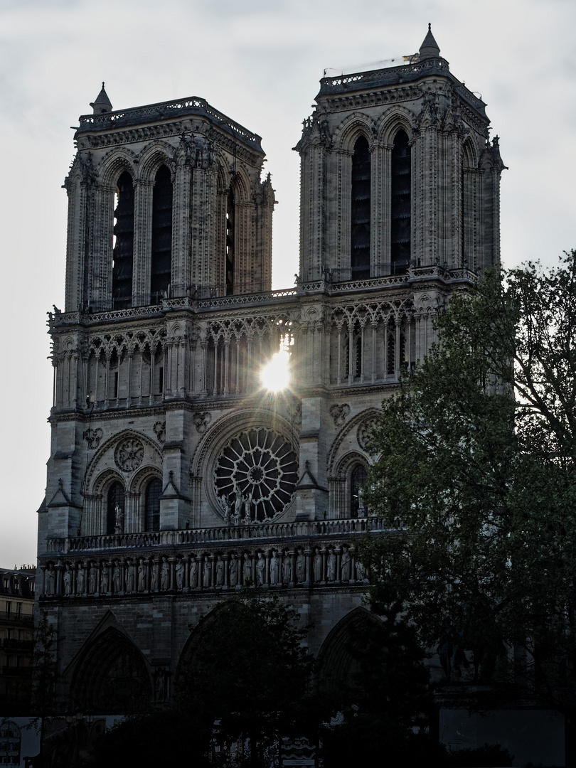 Notre Dame 2022