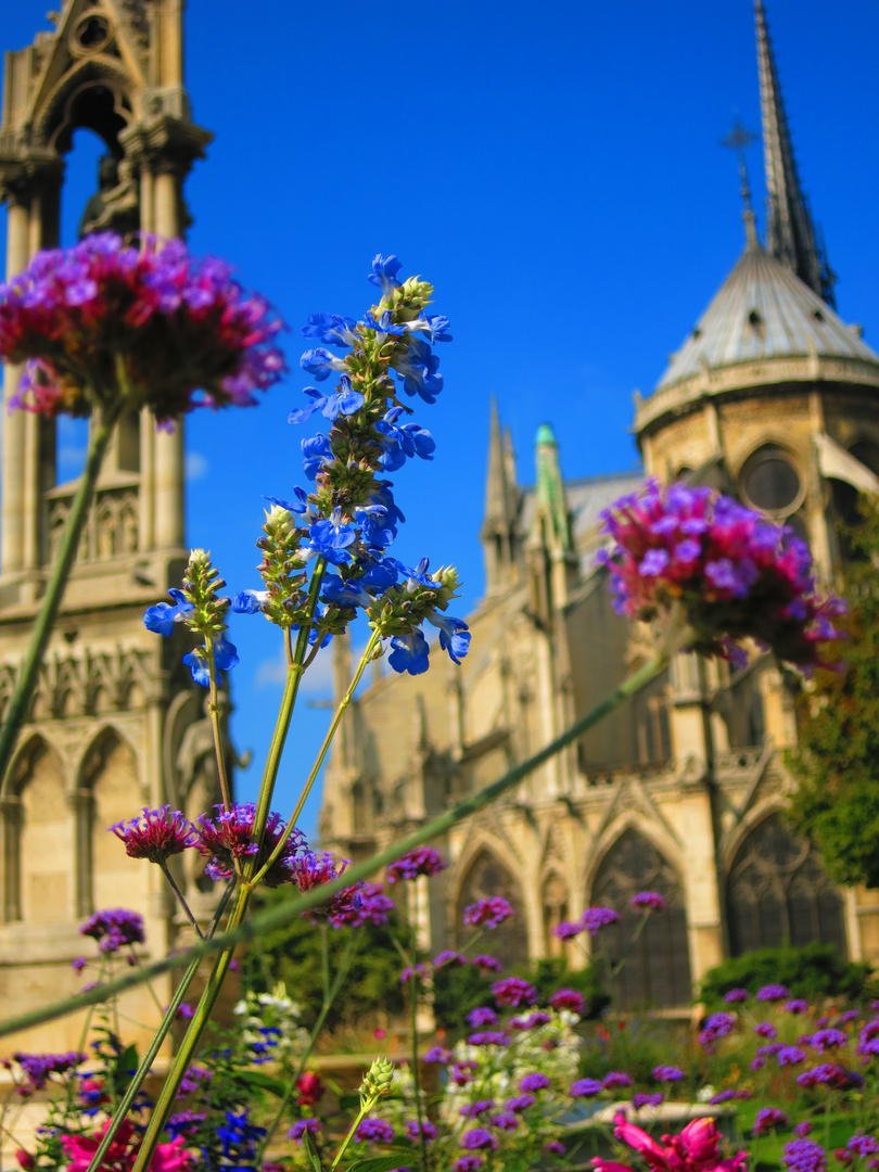 Notre Dame