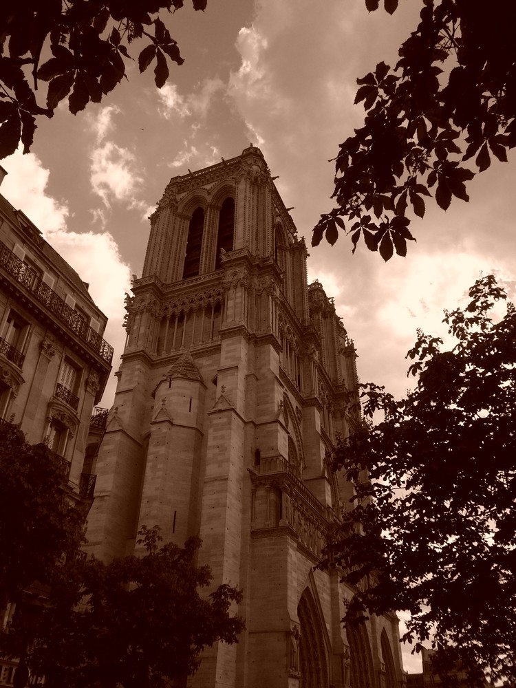 Notre- Dame