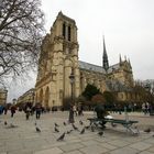 ...Notre Dame...