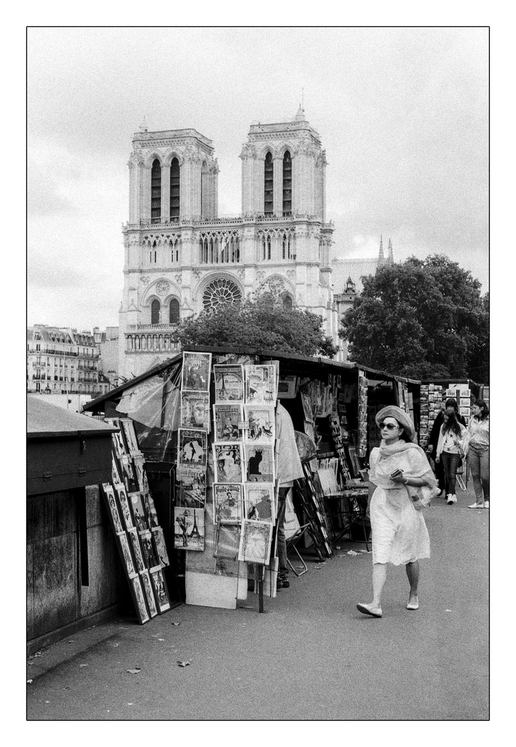 notre dame