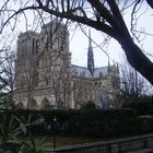 Notre Dame.