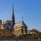 Notre Dame 