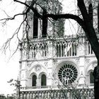 Notre Dame