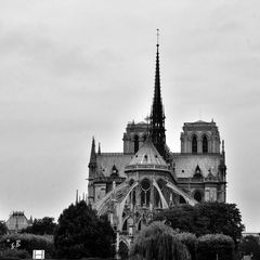 Notre Dame