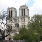 Notre- Dame