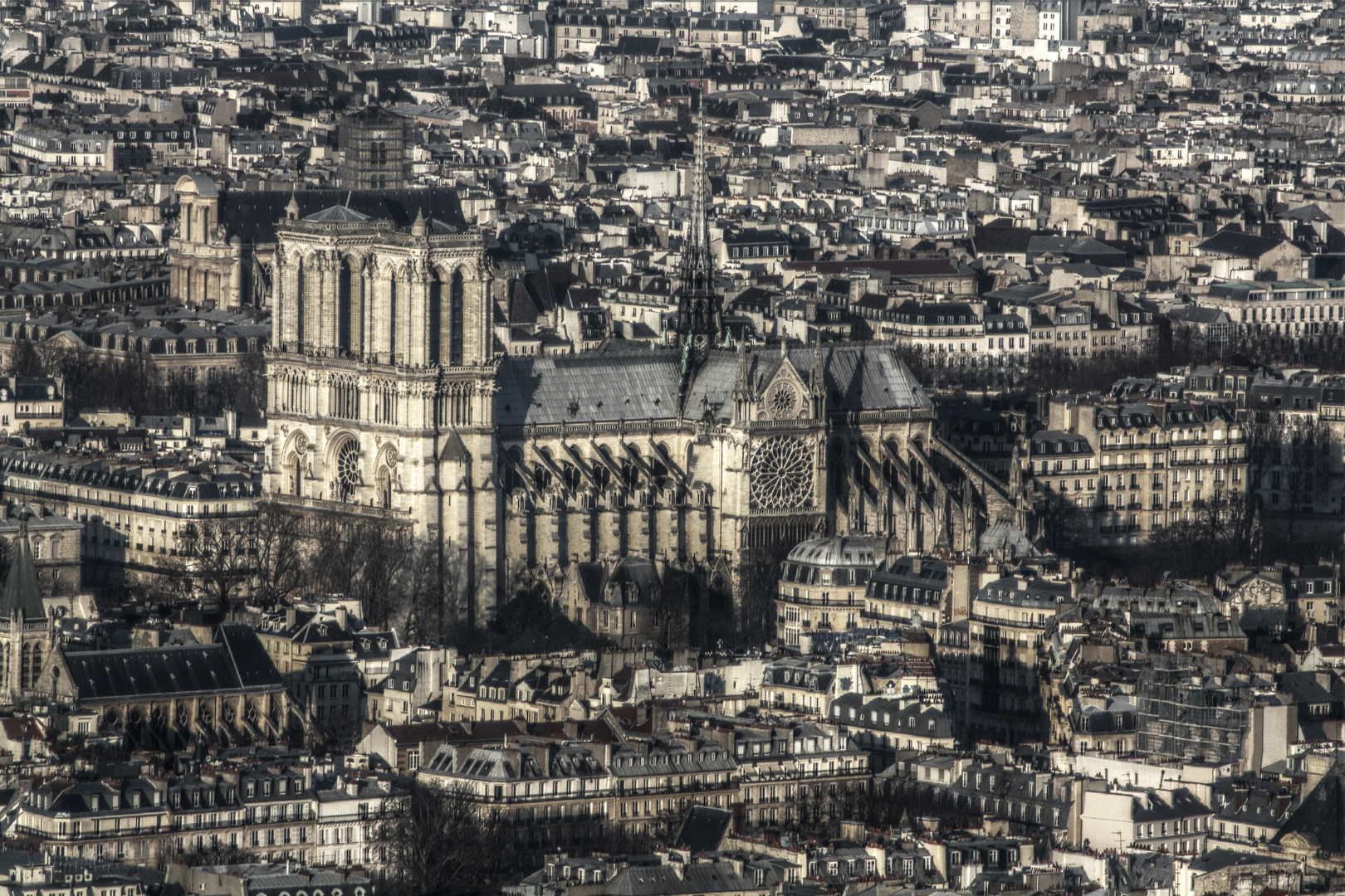 Notre-Dame