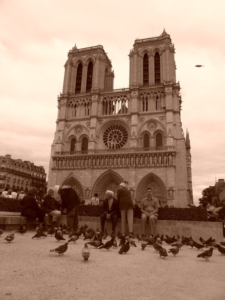 Notre - Dame