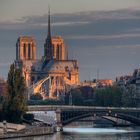 Notre Dame - 8h05 am Morgen