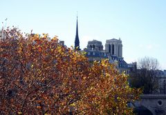 Notre Dame