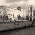 Notre-Dame