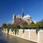 Notre Dame