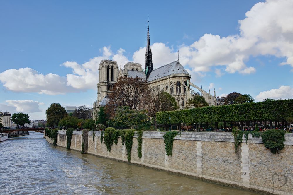 Notre-Dame at the Seine