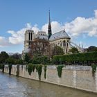 Notre-Dame at the Seine