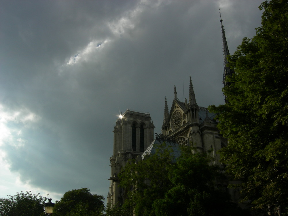 notre dame avec surprise