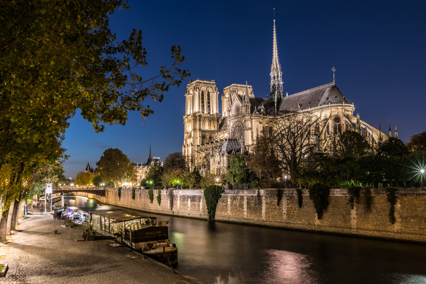 Notre Dame bei Nacht