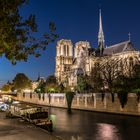 Notre Dame bei Nacht