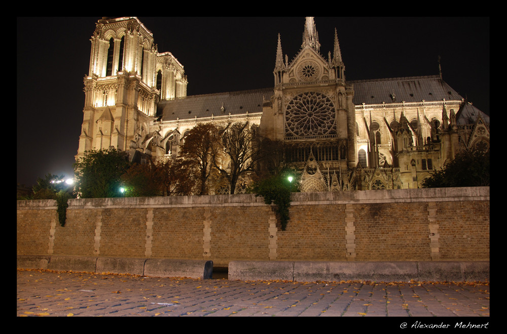 Notre Dame bei Nacht