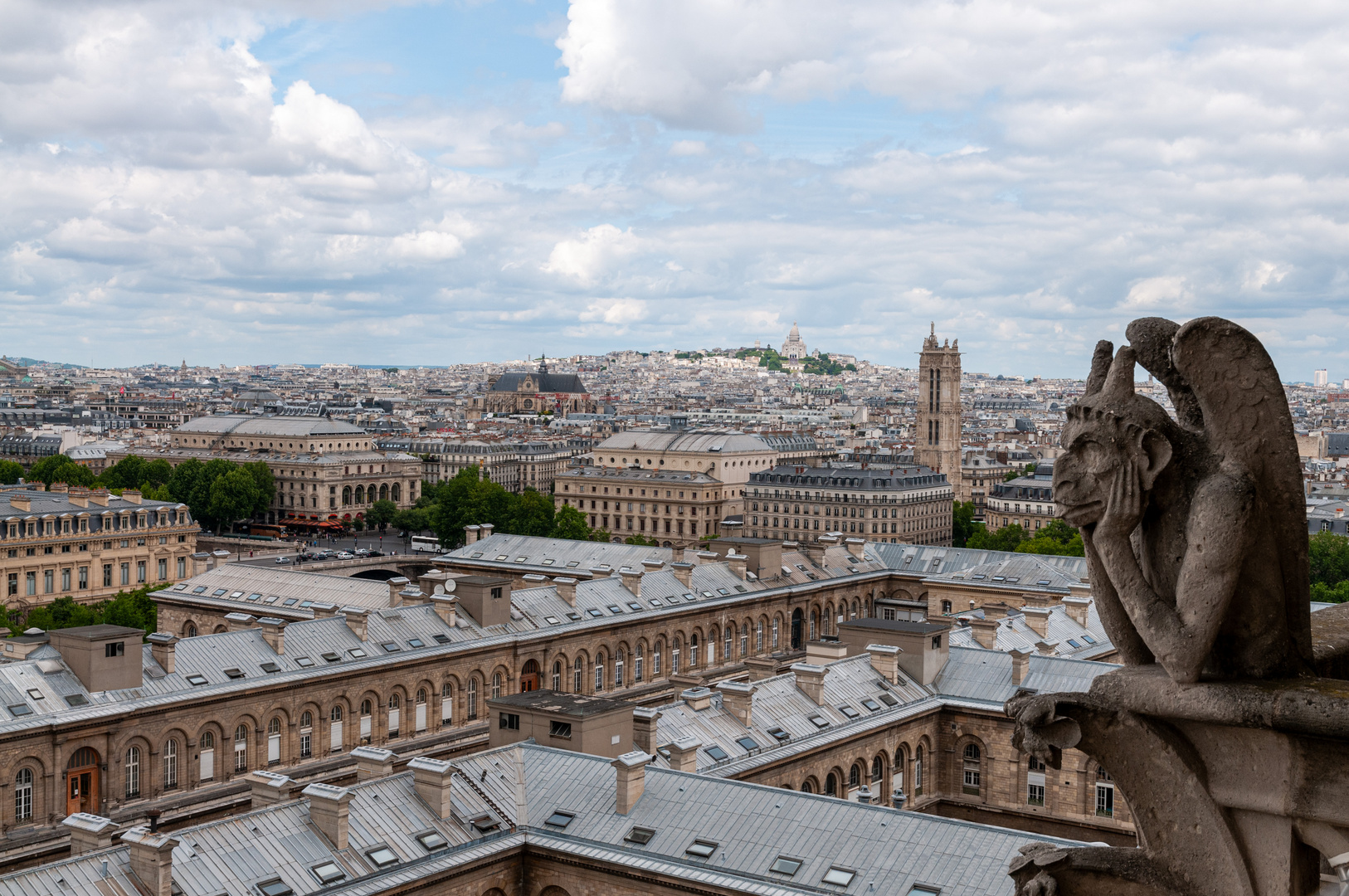 Notre Dame - Blick über die Dächer von Paris