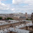 Notre Dame - Blick über die Dächer von Paris