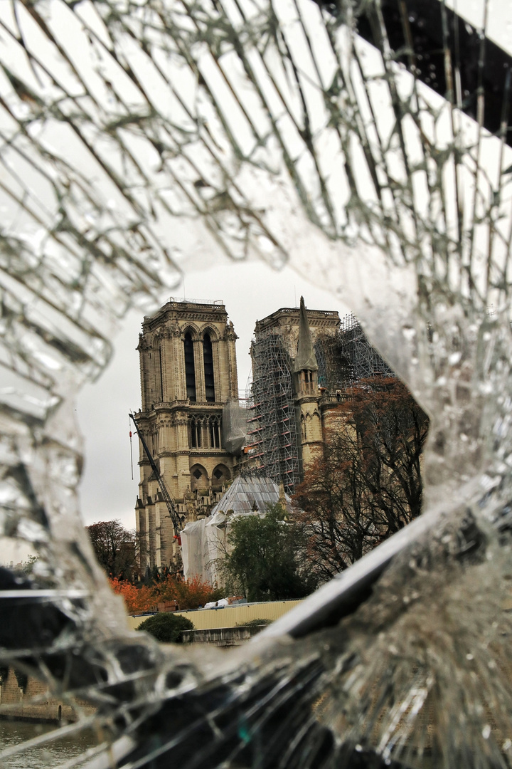 Notre Dame - broken