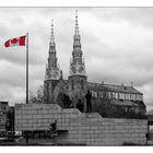 Notre Dame Cathedral Basilica II