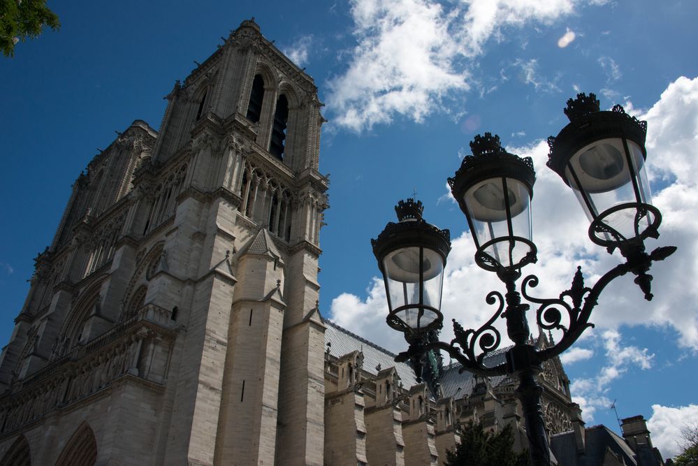 Notre Dame Cathedral im Frühling