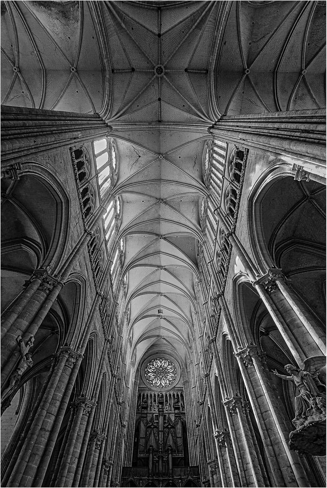 ~ Notre-Dame d’Amiens  ~