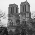 Notre Dame