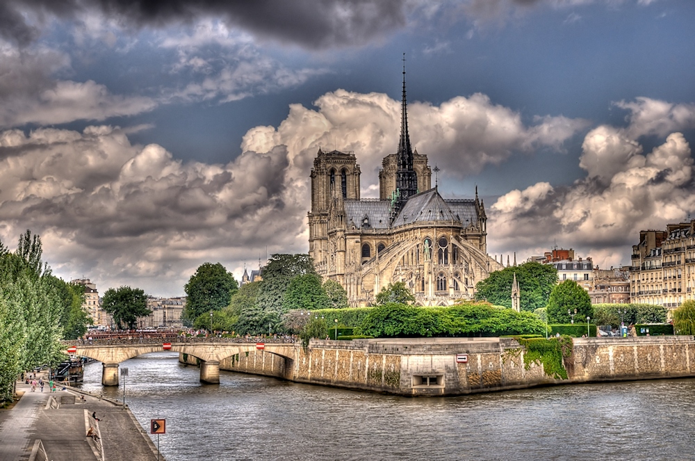 Notre Dame de dos