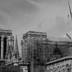 Notre Dame de Paris # 1