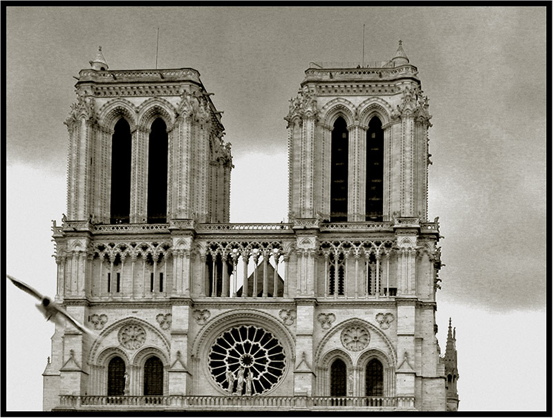 ---Notre Dame de Paris---