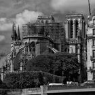 Notre Dame de Paris # 4