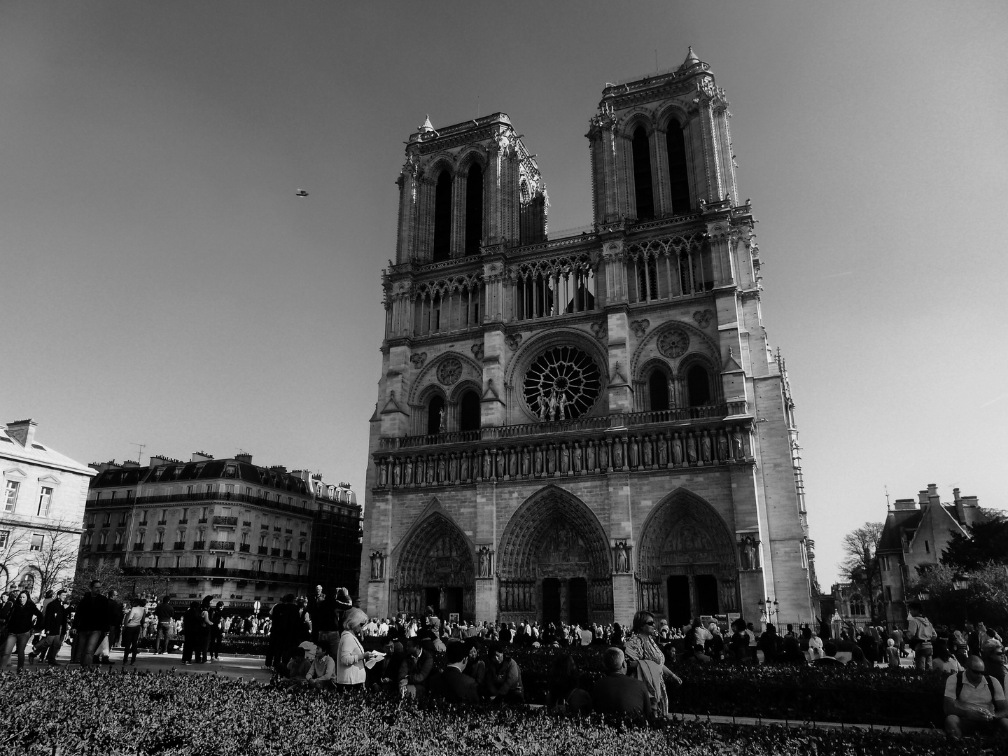 Notre-Dame-de-Paris