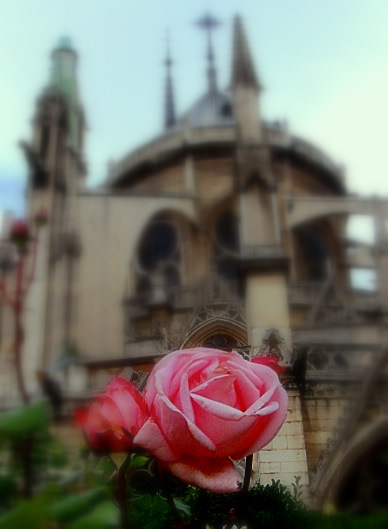 Notre-Dame de Paris