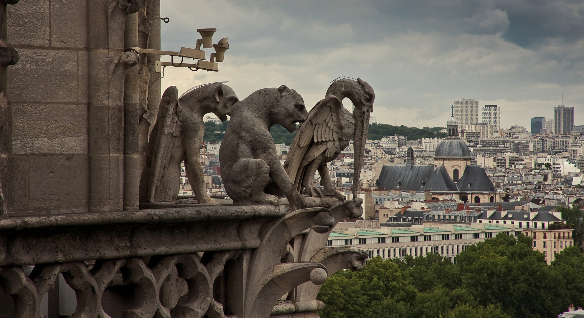 notre dame de paris