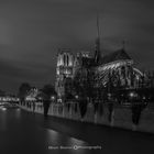 Notre-Dame de Paris