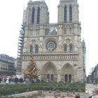 Notre Dame de Paris am 16.12.2004