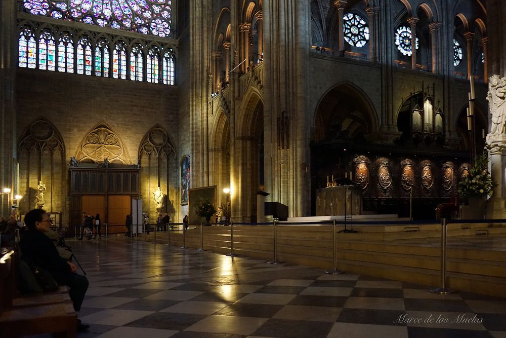 ...Notre Dame de Paris...